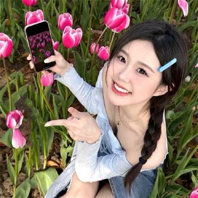 爱是一只猫